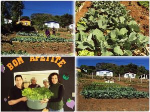 UPA de Capinzal realiza doações de hortaliças produzidas por detentos
