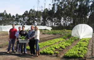 Horta comunitária de Barra Velha faz sua primeira colheita