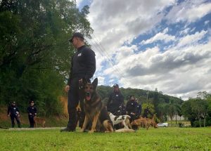 SAP realiza curso para ampliação de condutores de cães para as forças de segurança de SC