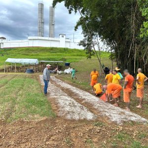 Projeto Semeando Liberdade capacita reeducandos em Olericultura Básica na Penitenciária Industrial de Joinville
