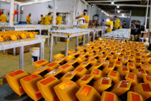 Presos da Colônia Agrícola de Palhoça contribuem para o programa Estrada Boa, do Governo de SC